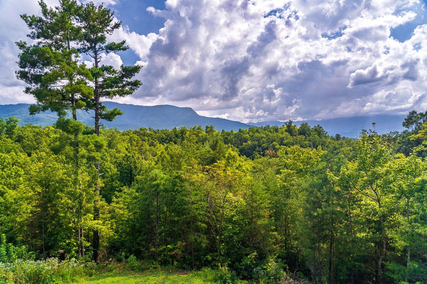 Big Bear Ridge Lodge - Breathtaking Mountain Views And Private Forest Scenes In Amazing Large Log Cabin Gatlinburg Dış mekan fotoğraf